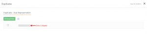 Screen shot: The Dual Representation section of the Duplicates tab, showing the first of two dual representation cases.