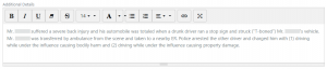 Screen shot: The Additional Details field on the Case Details tab.